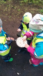 Iceland Sharing Popcorn